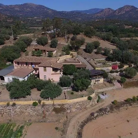مزرعة للإقامة Agriturismo Ogliastra Loceri