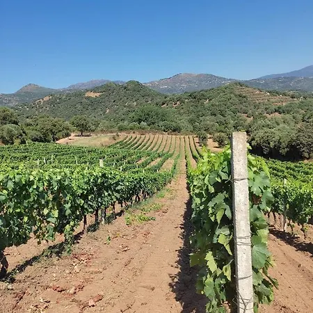 Agriturismo Ogliastra * Loceri